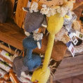 Bild in Galerie-Betrachter laden, George Gruppenbild Hundespielzeug