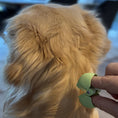 Bild in Galerie-Betrachter laden, Ticky der Zeckenfresser
