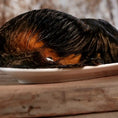Bild in Galerie-Betrachter laden, Rinderohr mit Fell 1 Stck.