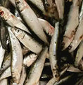 Bild in Galerie-Betrachter laden, Sprotten 500g