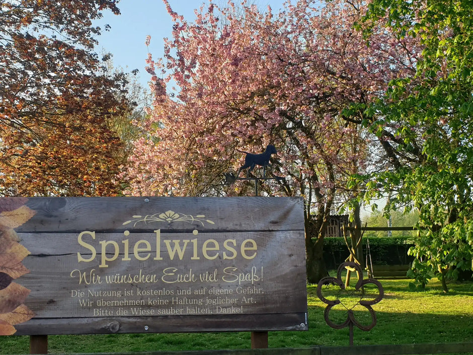 Spielwiese für Hunde am Hofladen