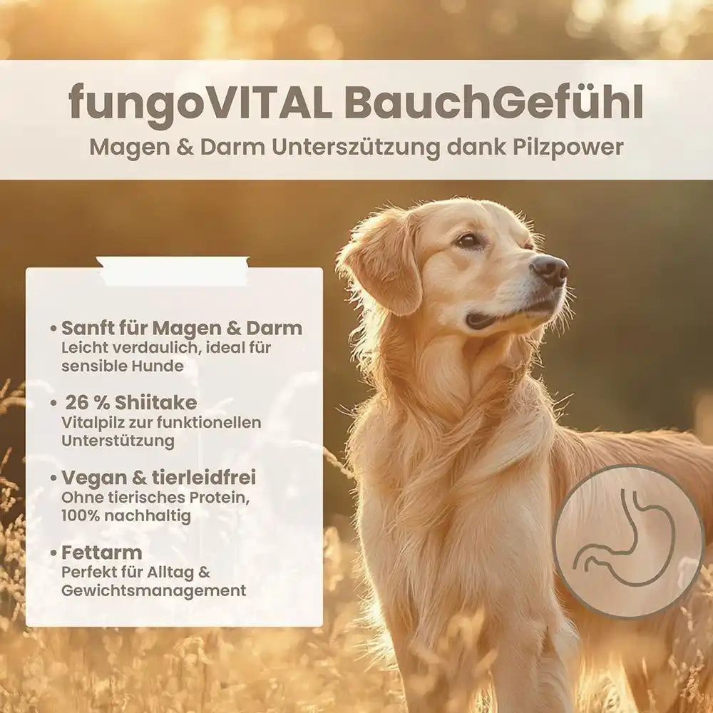 fungoVital BauchGefühl 100g