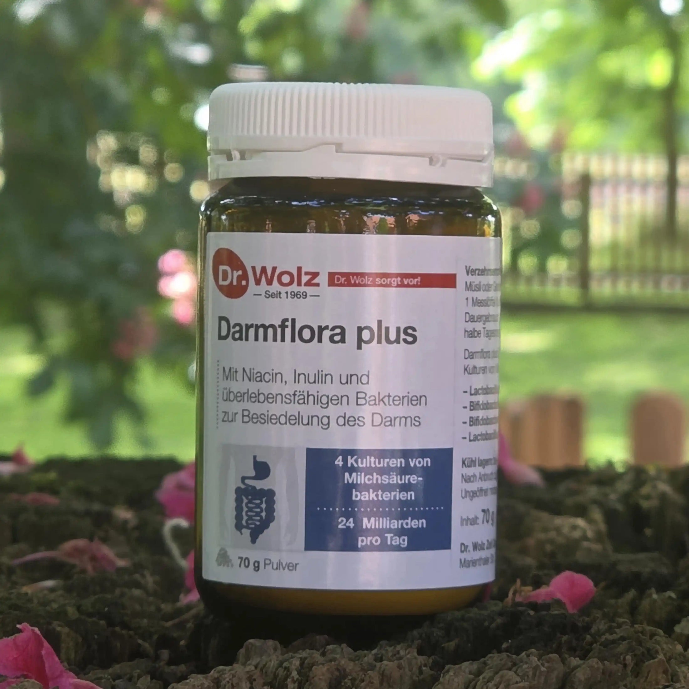 Dr. Wolz Darmflora plus 70g