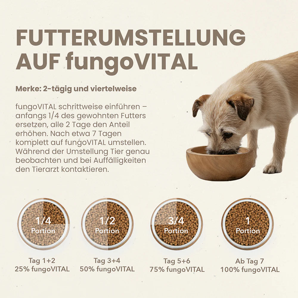 fungoVITAL WaldMenü