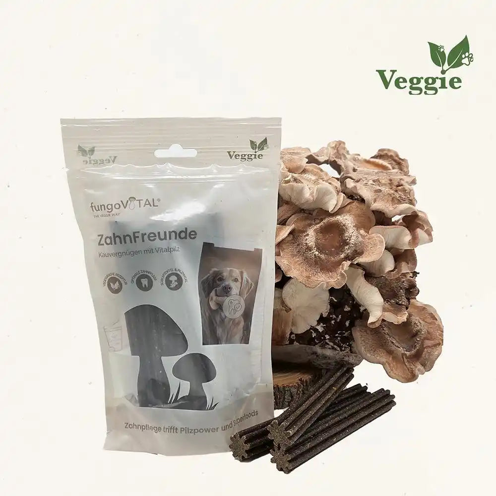 fungoVital ZahnFreunde 180g