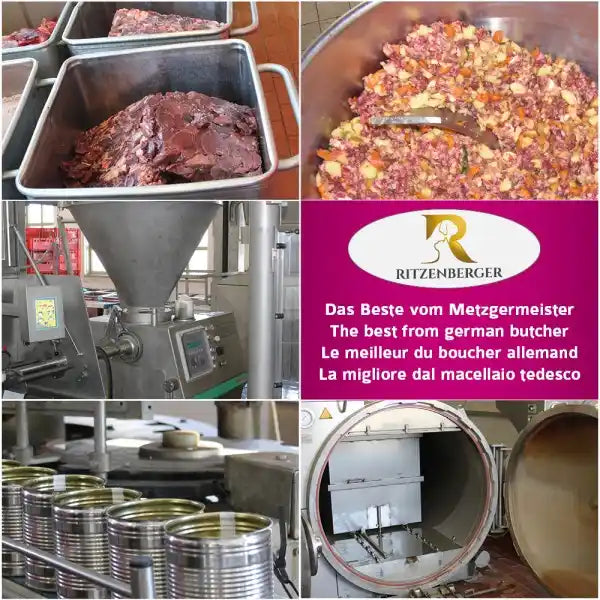 Pferd mit Kartoffel & Gemüse 800g
