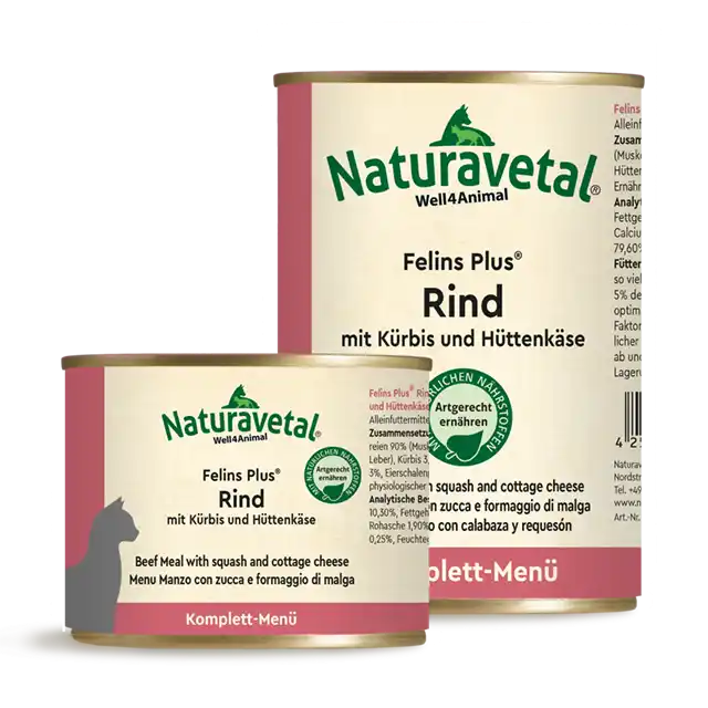 Felins Plus® Rind mit Kürbis und Hüttenkäse